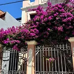 Jardim Iracema